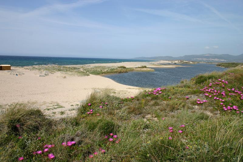 Residenza Pierre et Vacances Badus Badesi Exterior foto